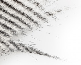 Craft Fur Grizzly, White / 01